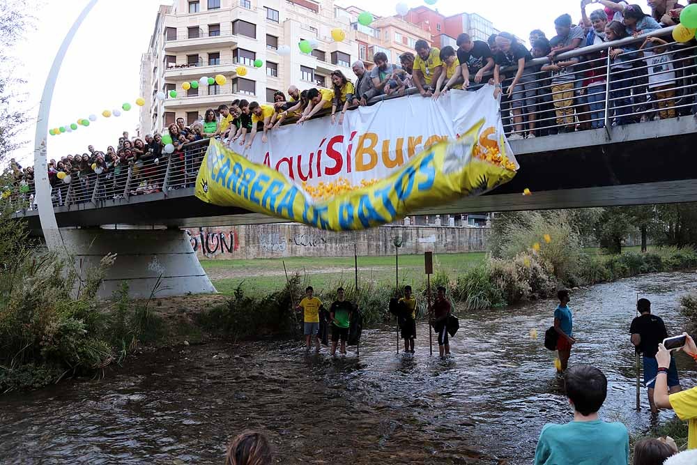 5.000 patos se han lanzado al río por dos buenas causas: colaborar con los proyectos de acceso al agua potable que lleva a cabo Amycos en Bolivia y el mantenimiento del comedor y la casa de acogida de las Hijas de la Caridad de Burgos.