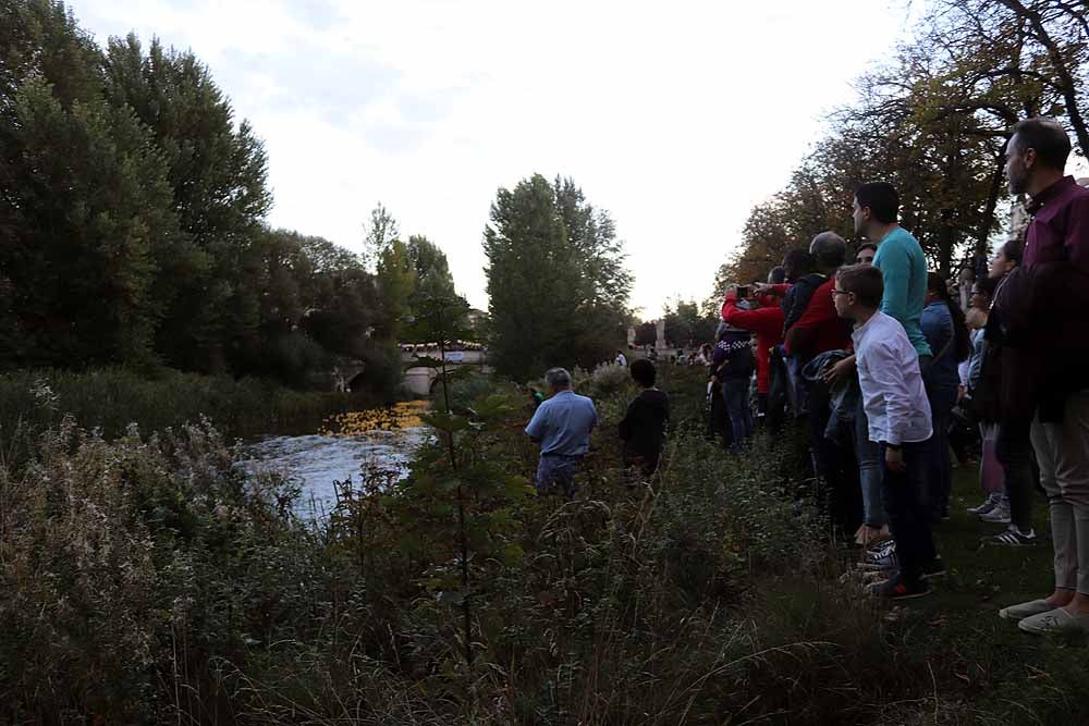 5.000 patos se han lanzado al río por dos buenas causas: colaborar con los proyectos de acceso al agua potable que lleva a cabo Amycos en Bolivia y el mantenimiento del comedor y la casa de acogida de las Hijas de la Caridad de Burgos.