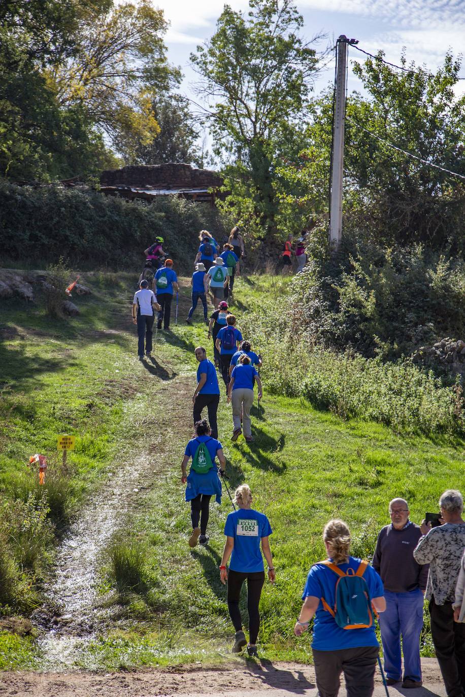 Más de 1.200 deportistas han participado hoy en la sexta edición de la Demandasaurus de Salas de los Infantes, que ha constado de tres carreras de ciclismo de montaña (BTT) de 48, 34 y 17 kilómetros, dos pruebas a pie de 22 y 10 kilómetros y una marcha a pie de 10 kilómetros. Entre los participantes, los organizadores han destacado la presencia del triple campeón del mundo de Trail, el burgalés Luis Alberto Hernando.