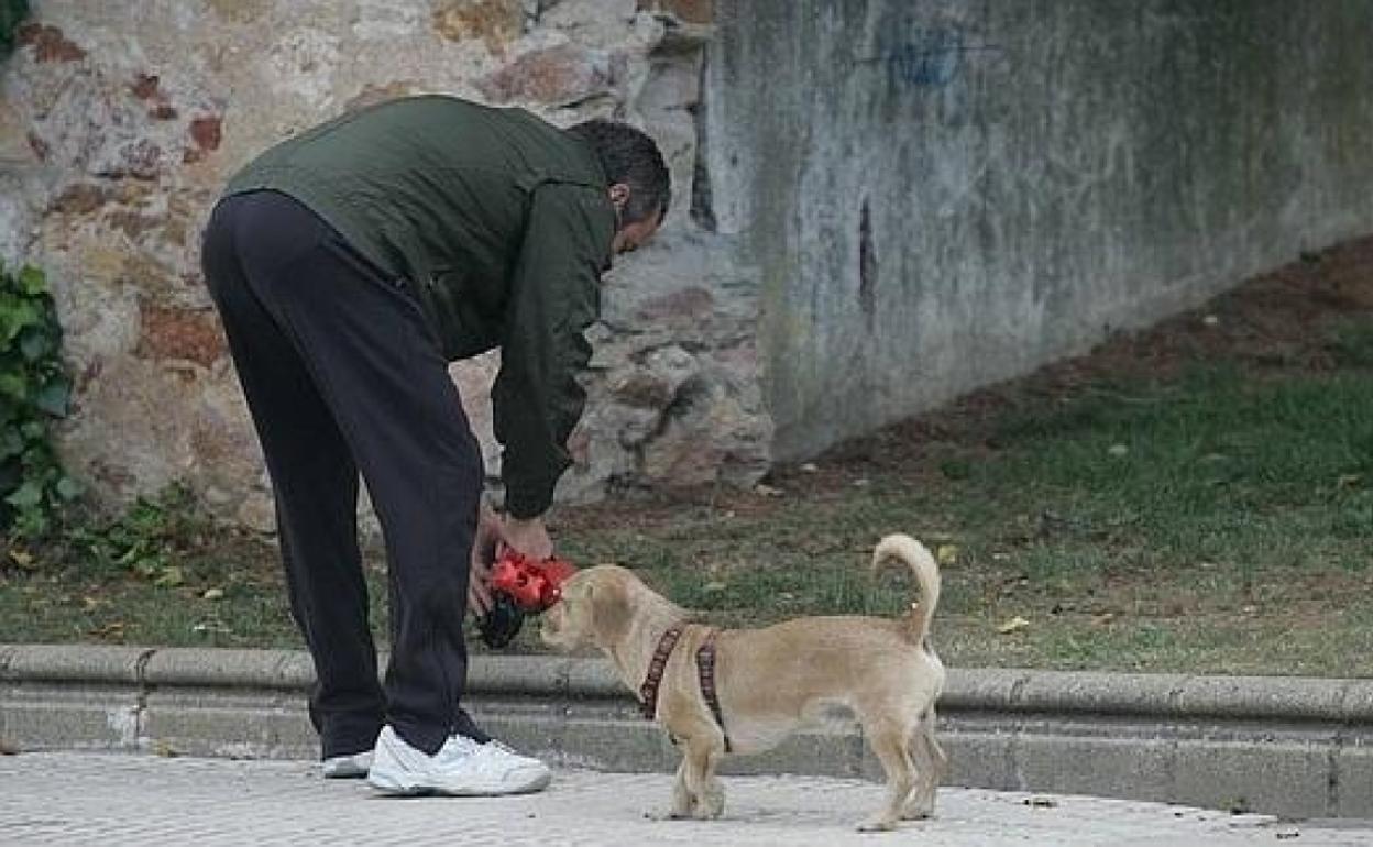 Un hombre recoge los excrementos de su mascota