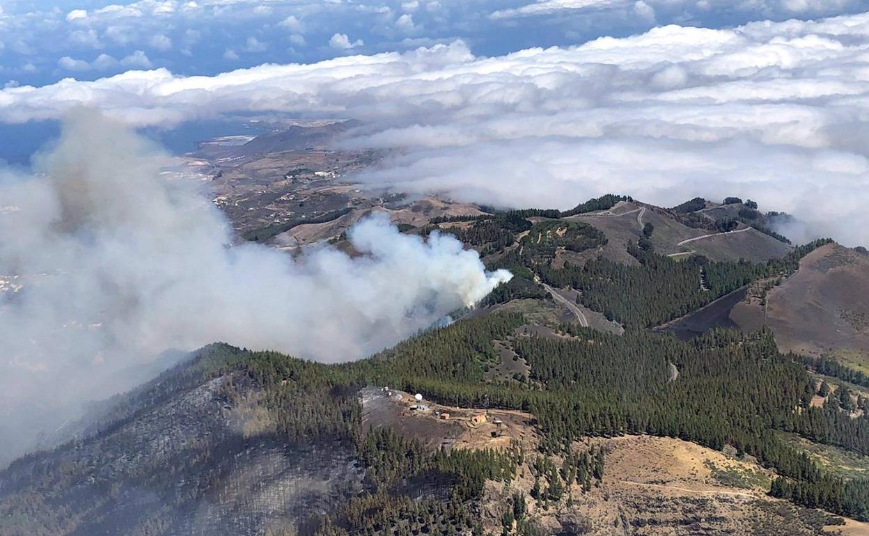 Incendio del pasado agosto en Gran Canaria. 