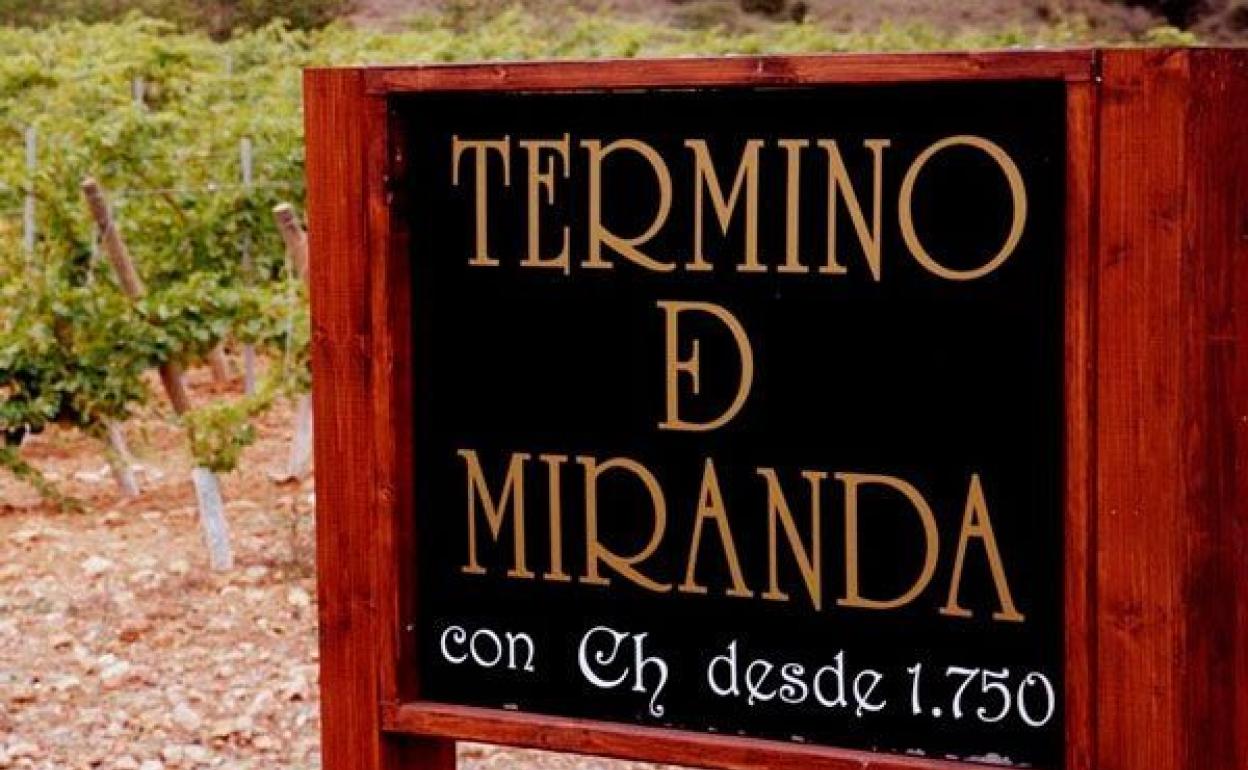 Término de Miranda ultima su vendimia y aspira a sacar al mercado 50.000 botellas