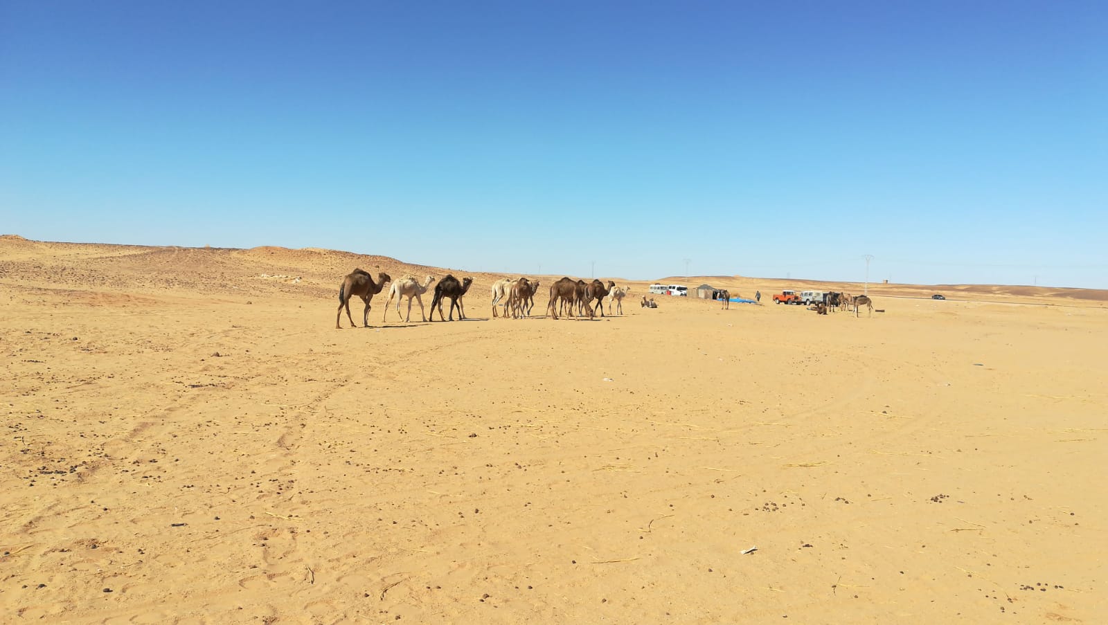 Fotos: Viaje a los Campamentos de Refugiados del Sáhara