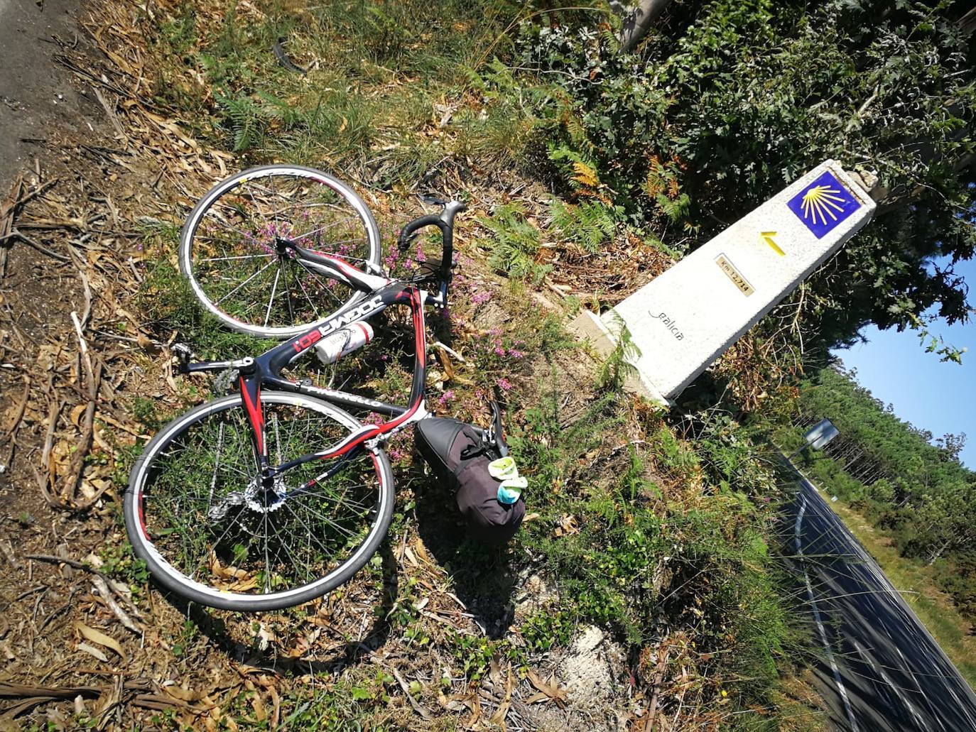 Abel Antón, de Huerta de Rey, ha concluido su tercer Camino de Santiago y esta vez lo ha afrontado en solitario | Ha pedaleado desde Roma a Finisterre en una aventura en la que pesan más los hechos positivos que los negativos y los bellos paisajes. 