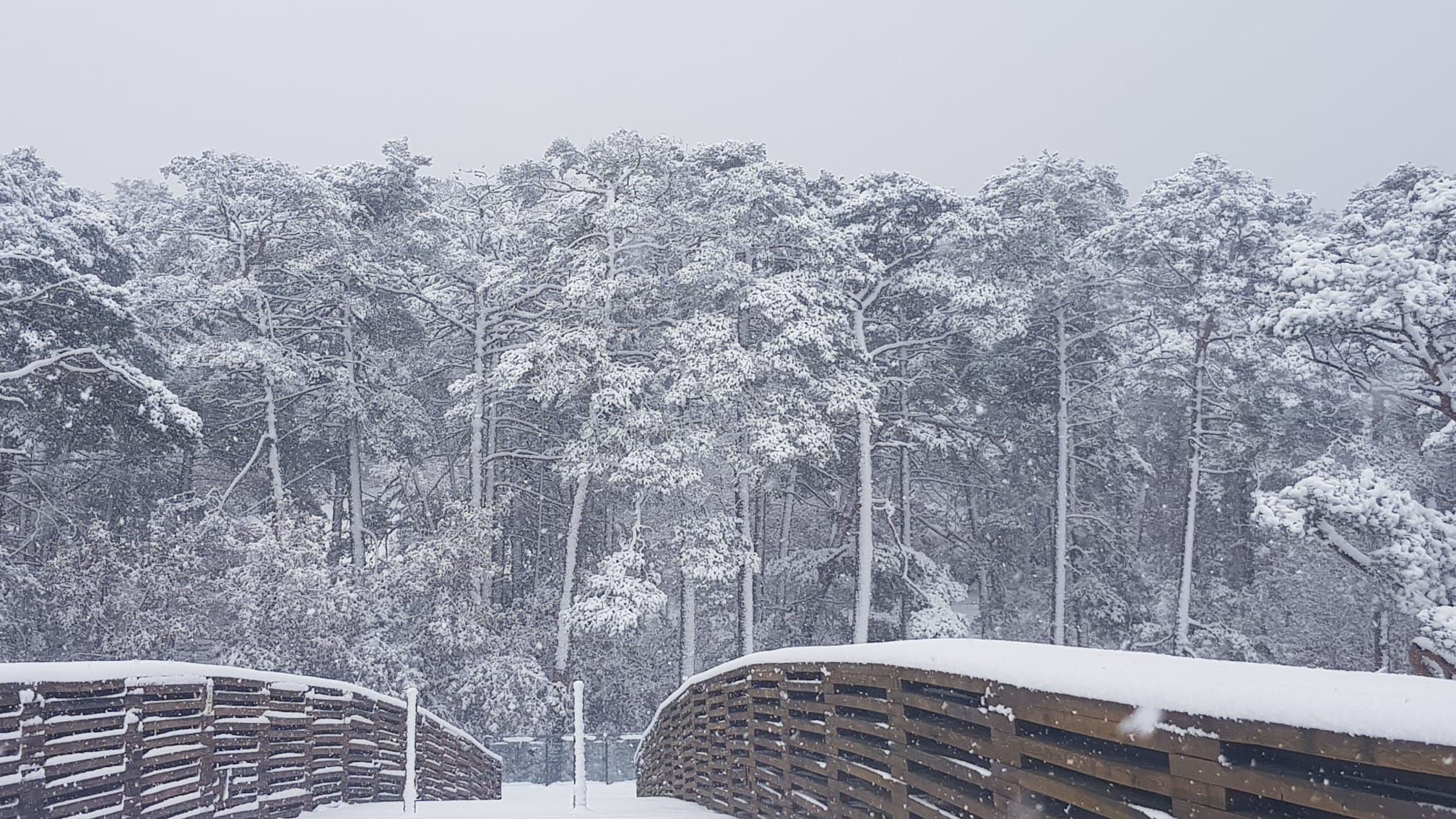 Fotos: La nieve empieza a caer en Burgos, que mantiene las alertas