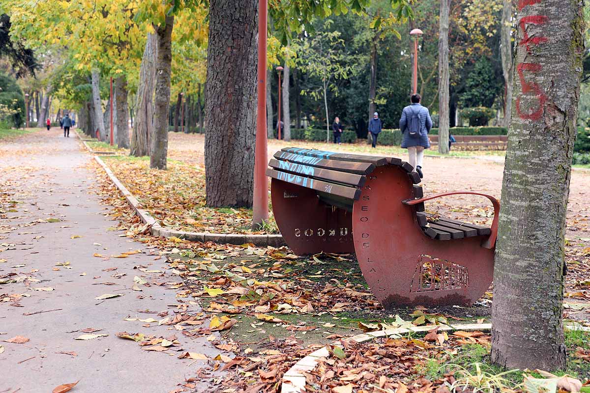 Ya se ha comenzado a actuar sobre el arbolado más envejecido y dañado y se quieren coordinar las actuaciones de los servicios de limpieza de viales y de mantenimiento de jardines. 