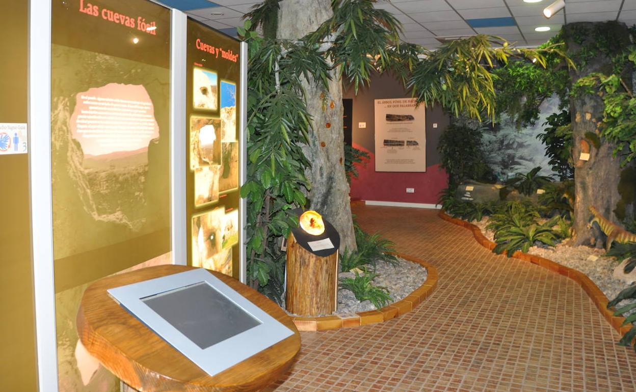 Museo del Árbol Fósil de Hacinas. 