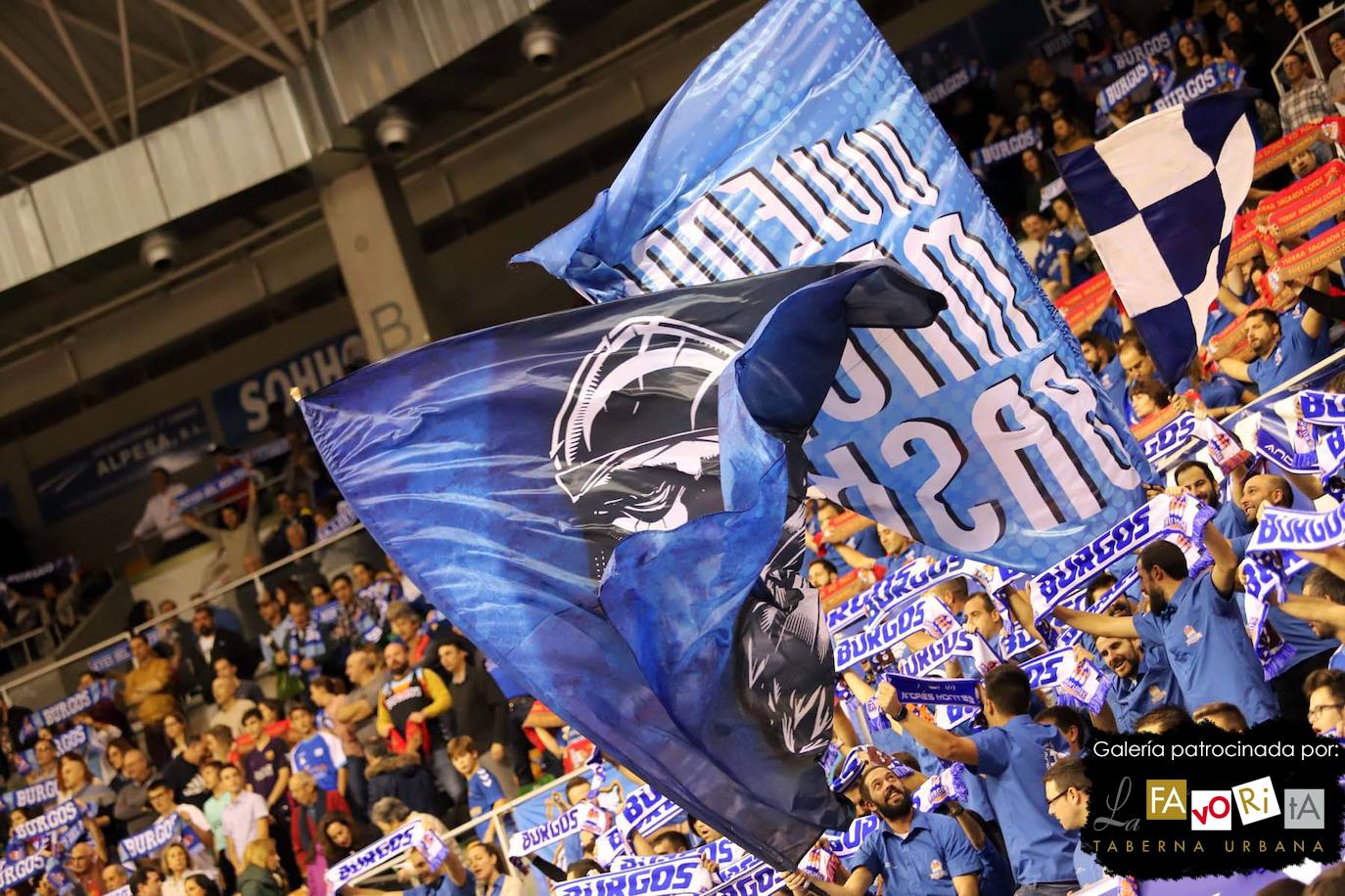 Fotos: El Coliseum vuelve a teñirse de azul