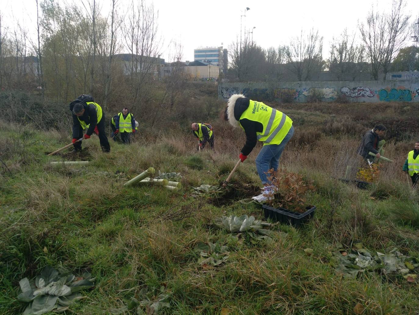 Fotos: Limpiando el polígono industrial Burgos Este