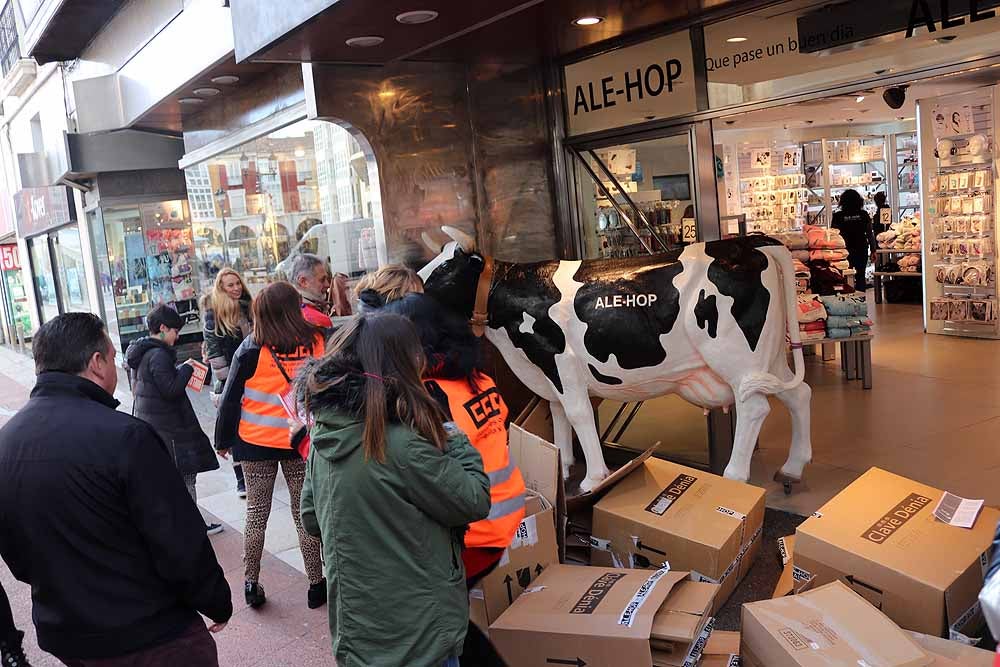 Fotos: Huelga en el comercio de Burgos