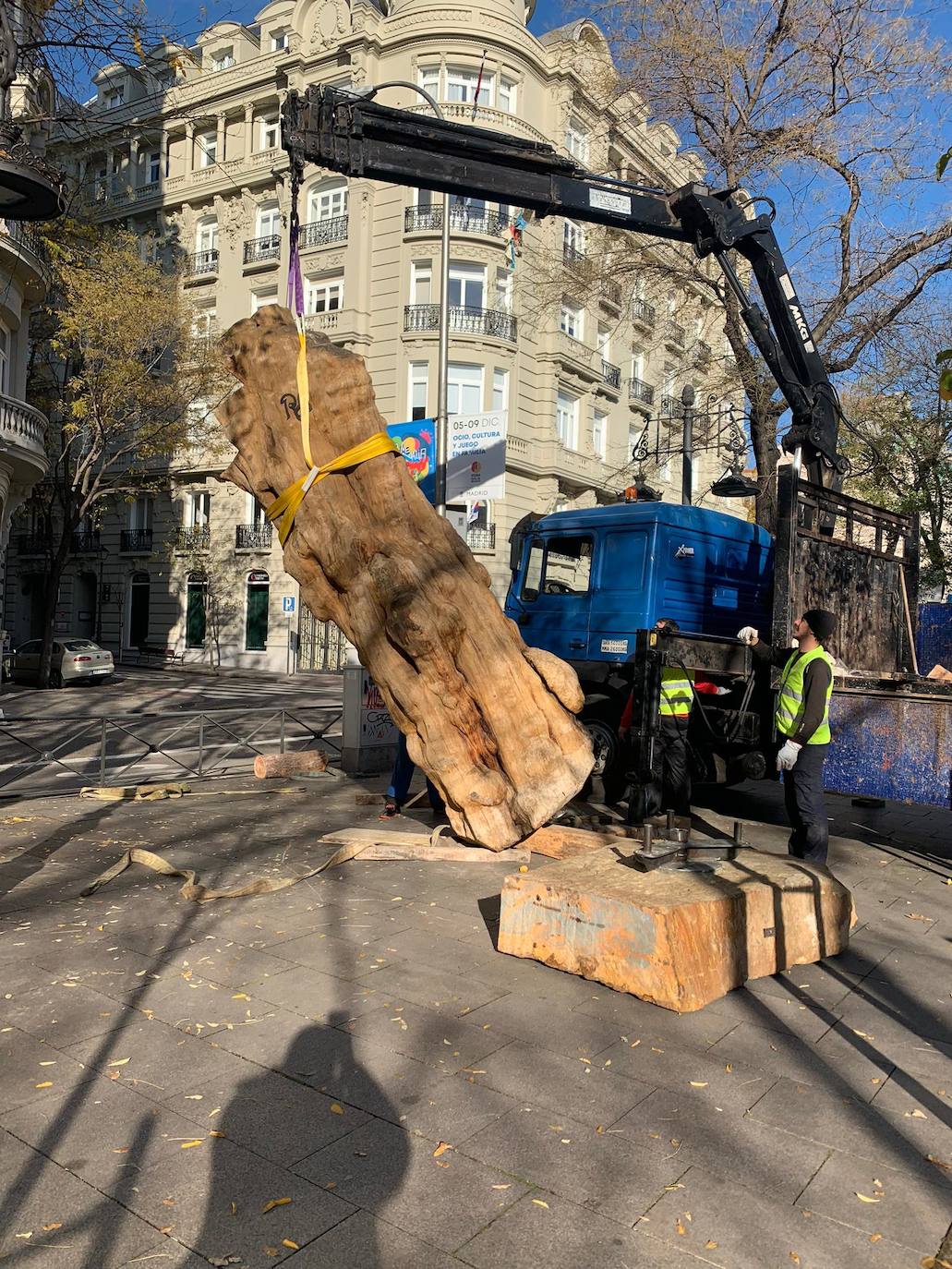 Fotos: La Cabaña Real de Carreteros lleva a la Cumbre del Clima el Pino Ibérico tallado como símbolo de la grave situación de los bosques