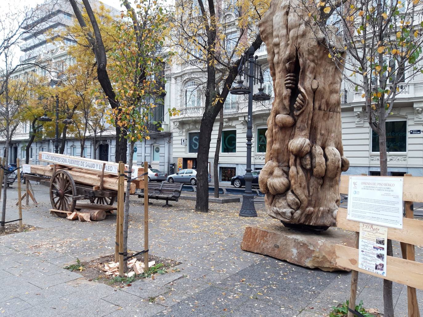 Fotos: La Cabaña Real de Carreteros lleva a la Cumbre del Clima el Pino Ibérico tallado como símbolo de la grave situación de los bosques