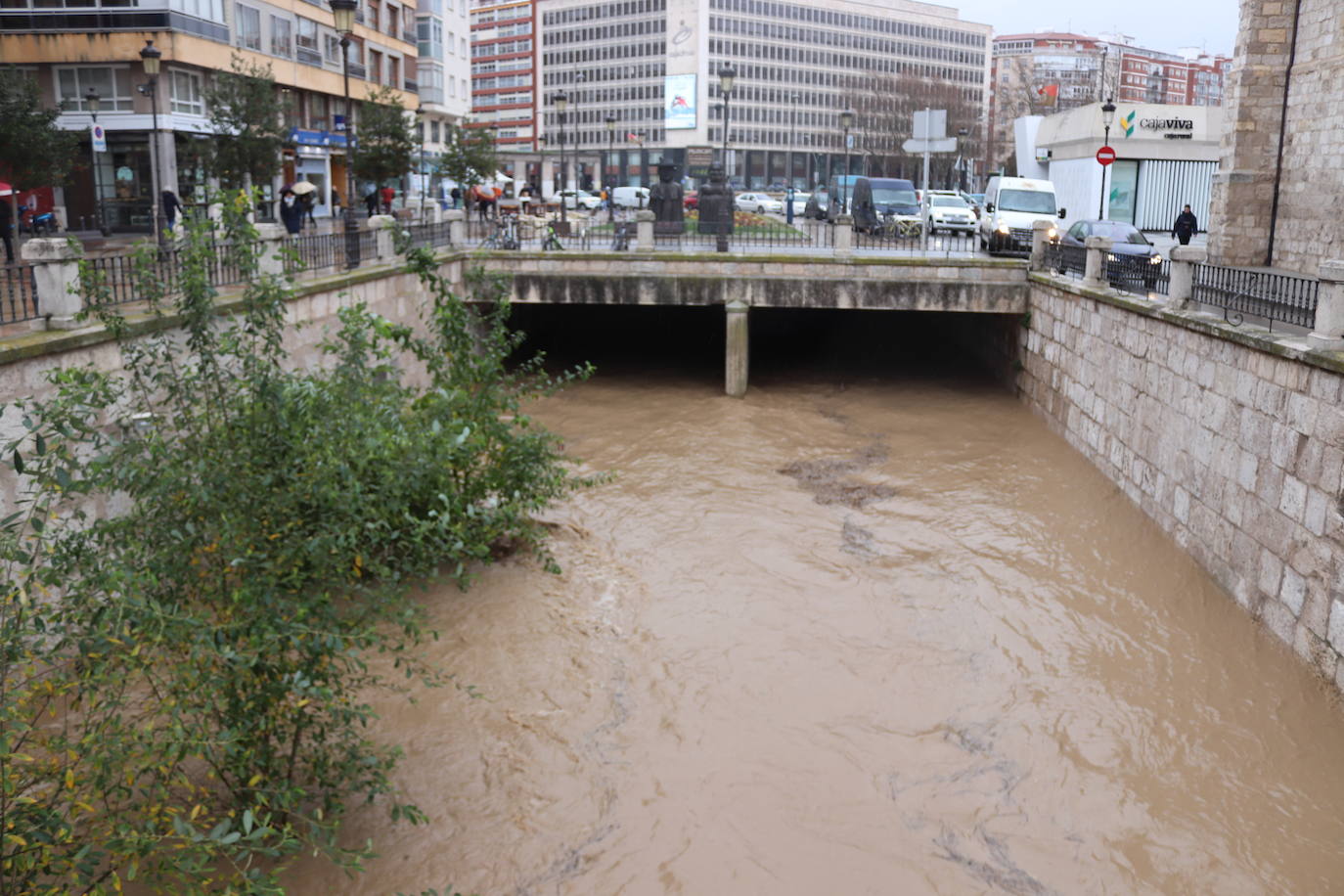 Río Vena a su paso por Burgos.