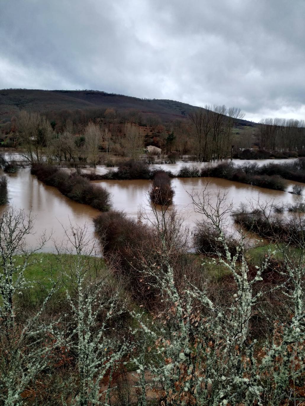 Río Arlanza inunda tierras en Palacios de la Sierra.