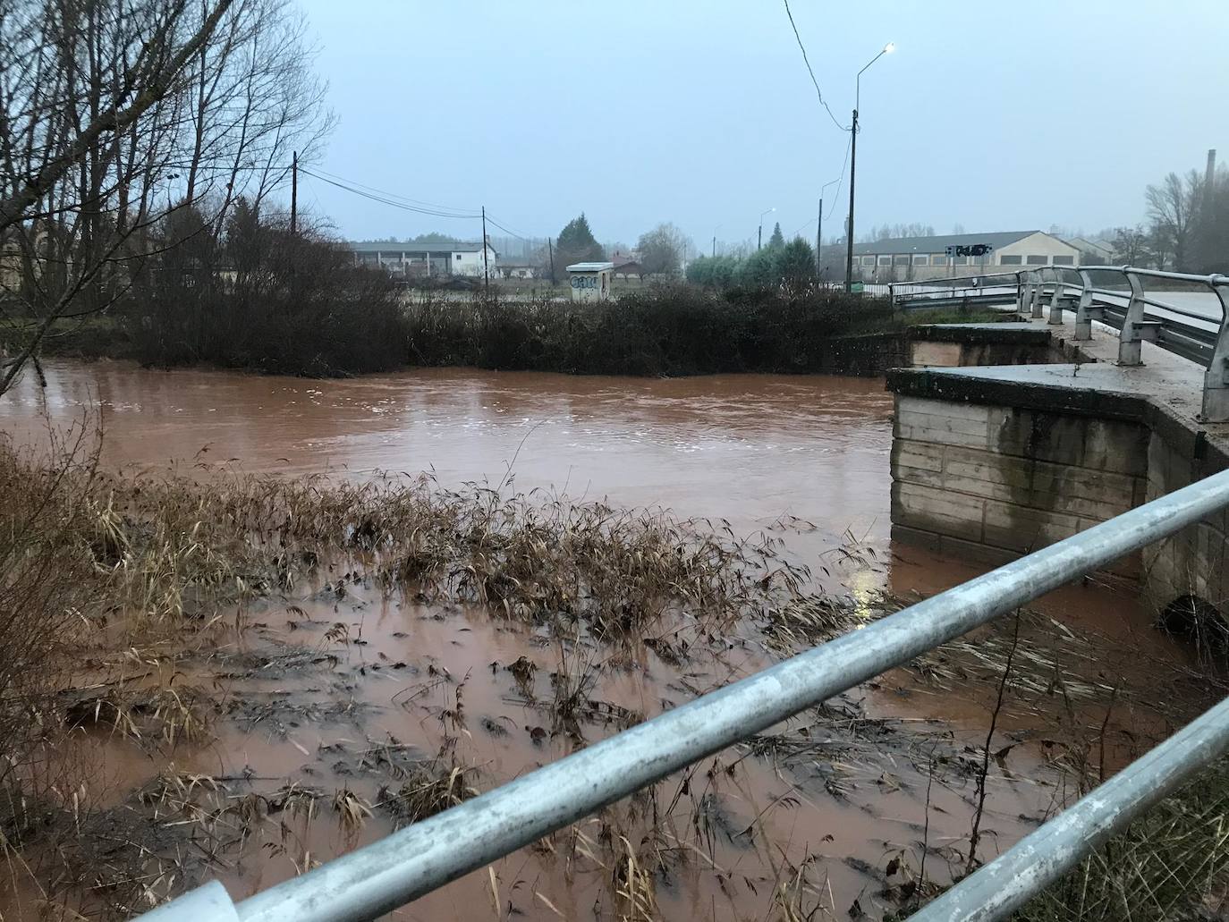 Río Ciruelos a la altura de Salas de los Infantes.