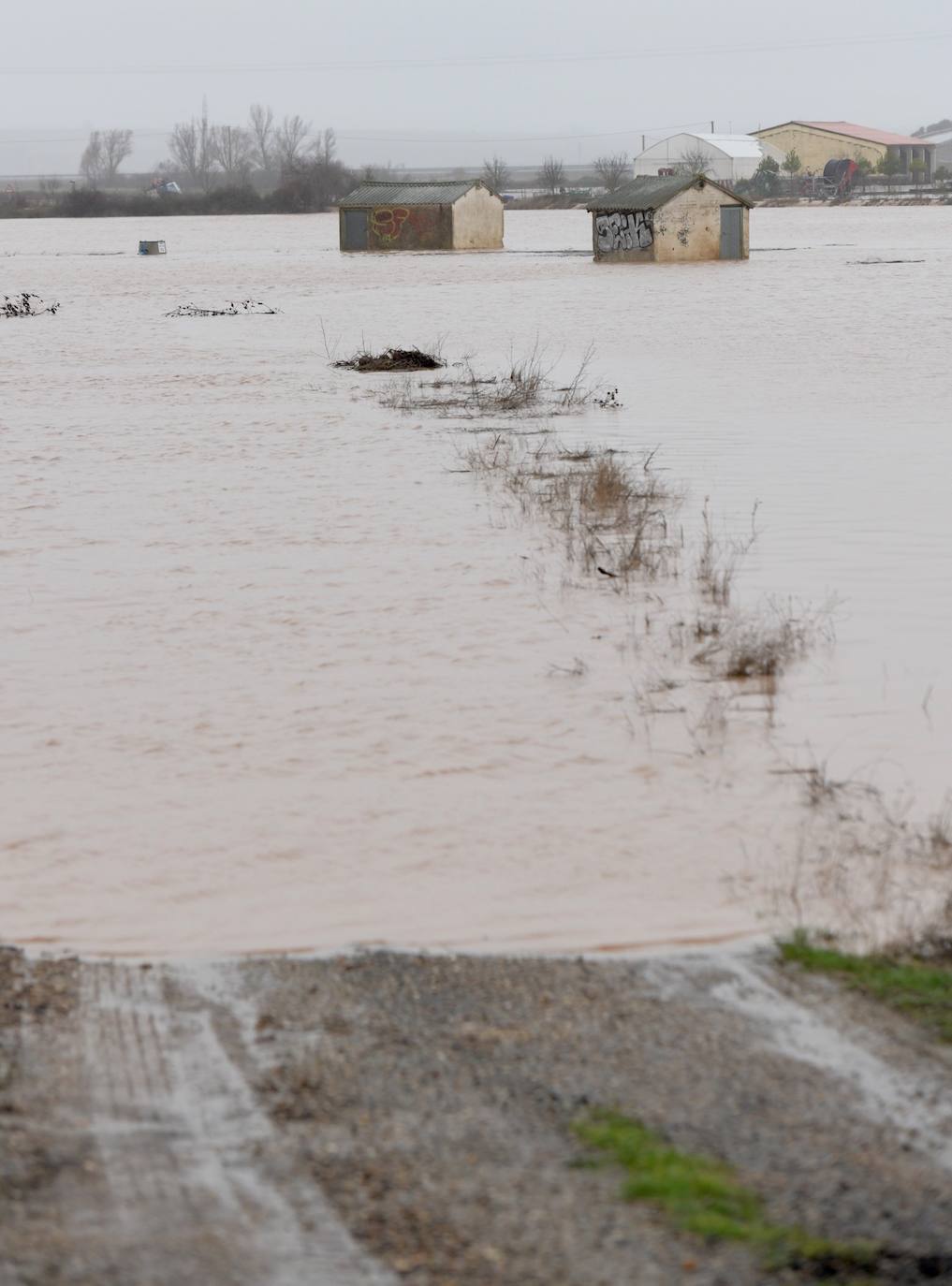 El río Pisuerga se desborda a su paso por Melgar de Fernamental. 