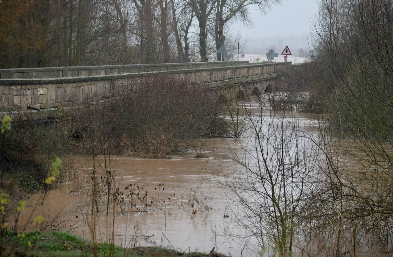 El río Pisuerga se desborda a su paso por Melgar de Fernamental. 