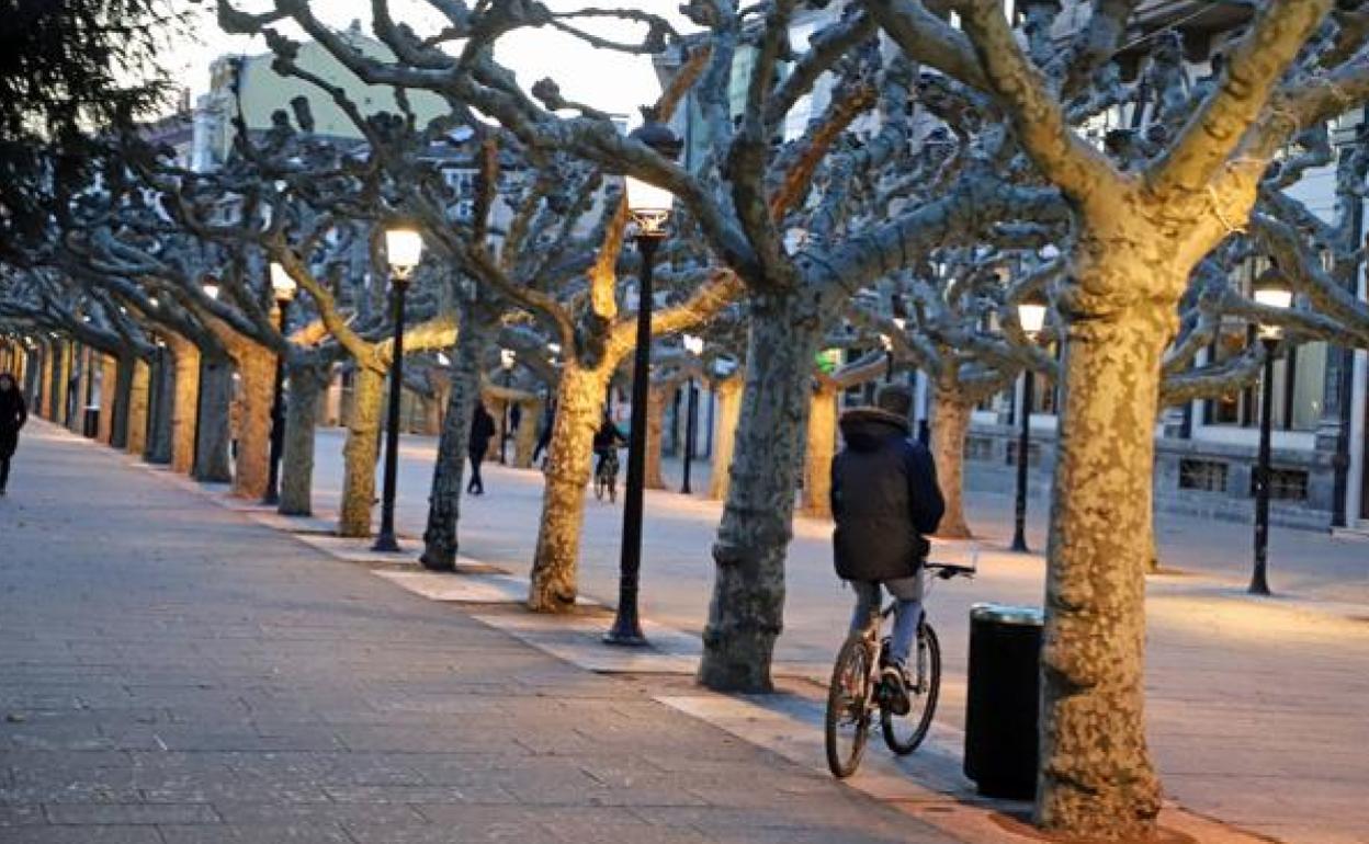 Bicicleta circulando por el paseo del Espolón que ahora será una zona peatonal en el que habrá que llevar la bici en la mano. 