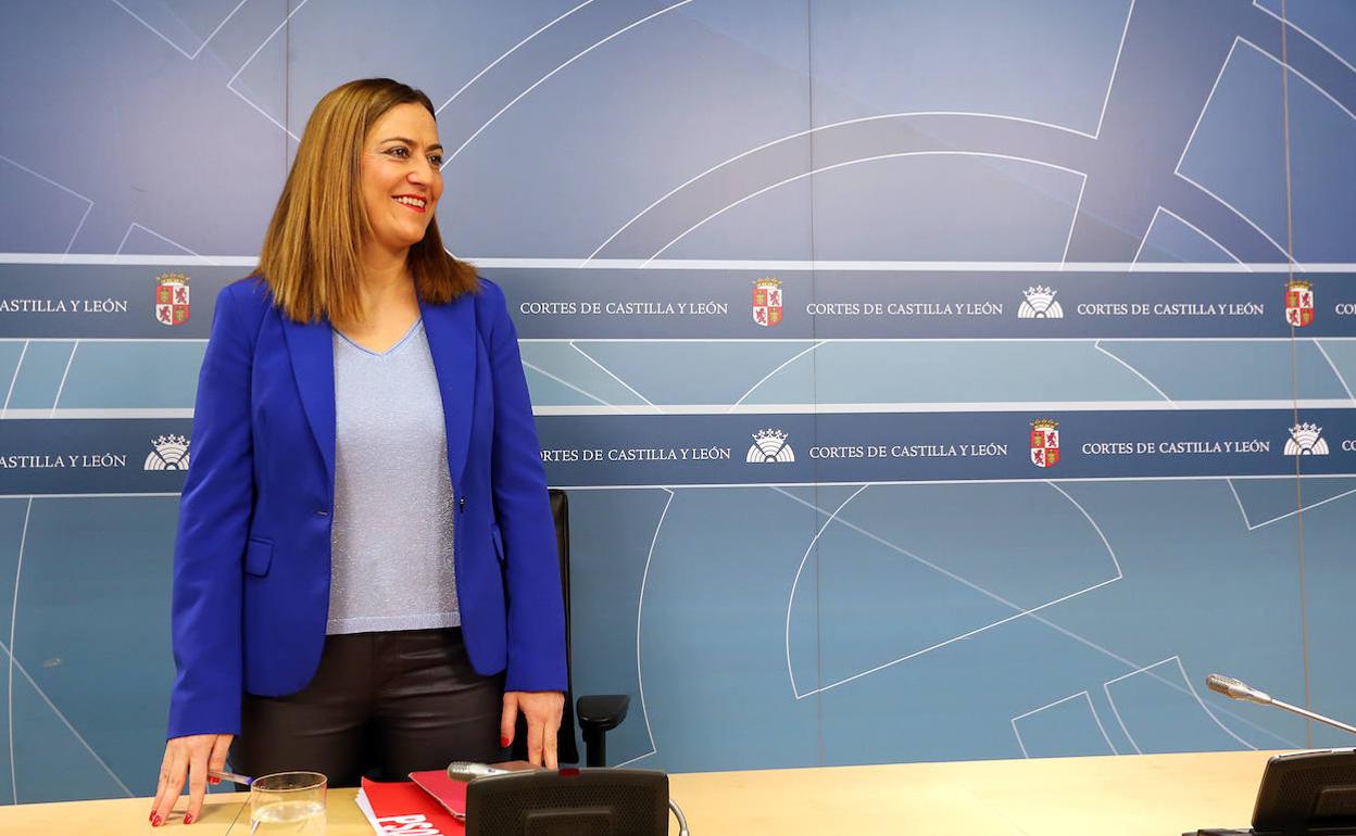 La vicesecretaria general del PSOECyL y viceportavoz socialista en las Cortes, Virginia Barcones, celebra una rueda de prensa sobre despoblación y ordenación del territorio en Castilla y León. 