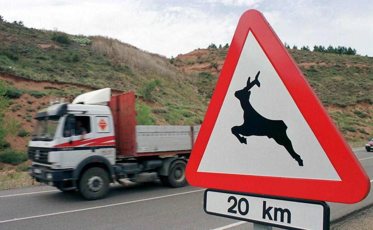 Los animales sueltos en carretera causan cientos de accidentes. 