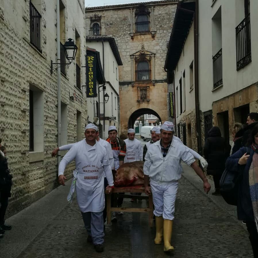 Fotos: Covarrubias celebra su fiesta de la matanza