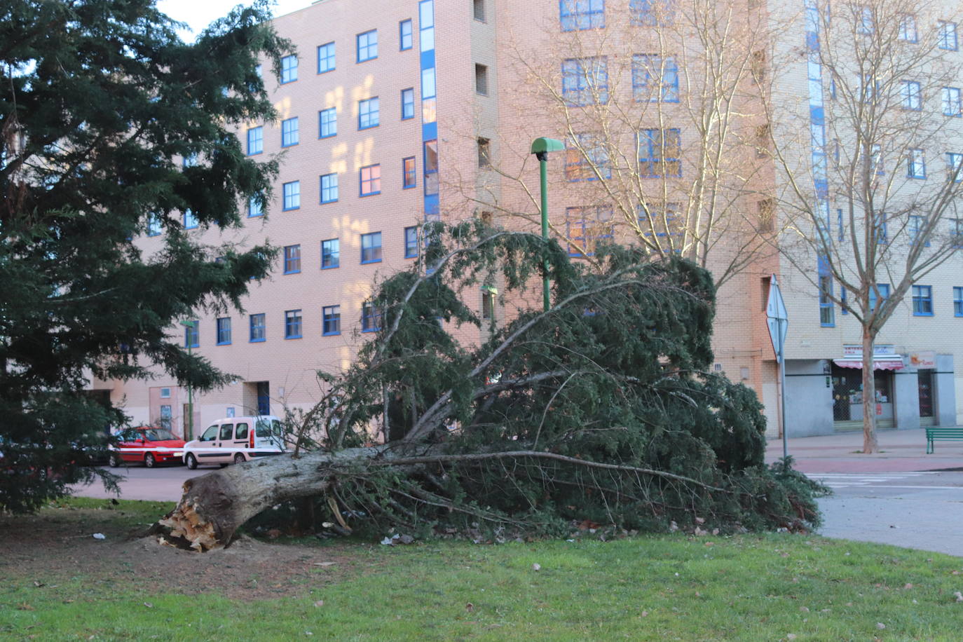 Fotos: El fuerte viento está provocando numerosos incidentes en Burgos