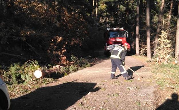 Imagen de la actuación de los bomberos de Quintanar