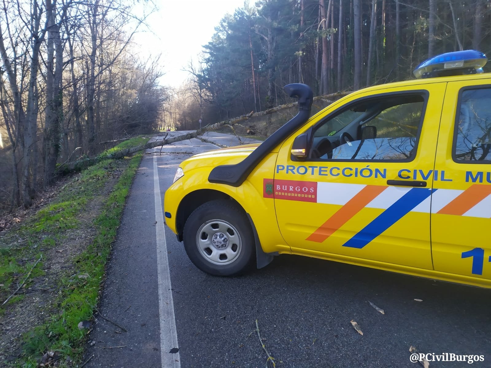 Fotos: El fuerte viento está provocando numerosos incidentes en Burgos