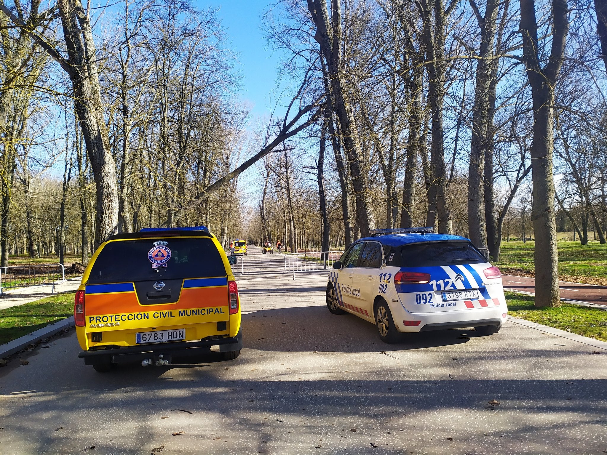 Fotos: El fuerte viento está provocando numerosos incidentes en Burgos