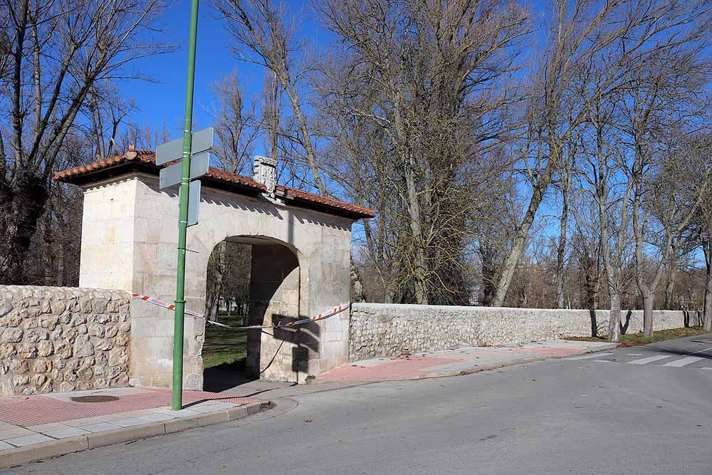 Fotos: El fuerte viento está provocando numerosos incidentes en Burgos