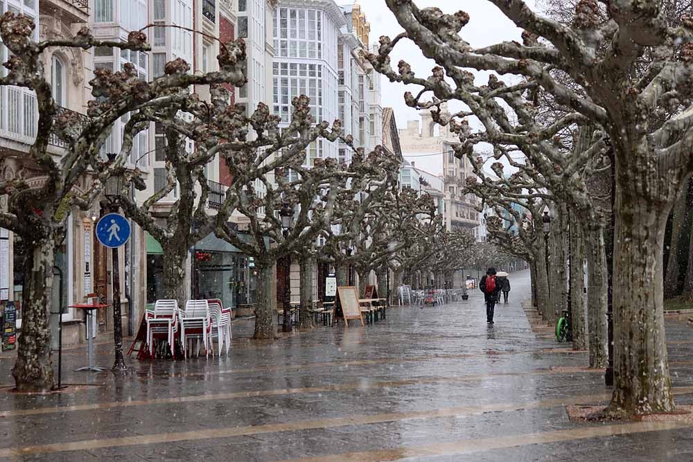 Fotos: La nieve llega a Burgos