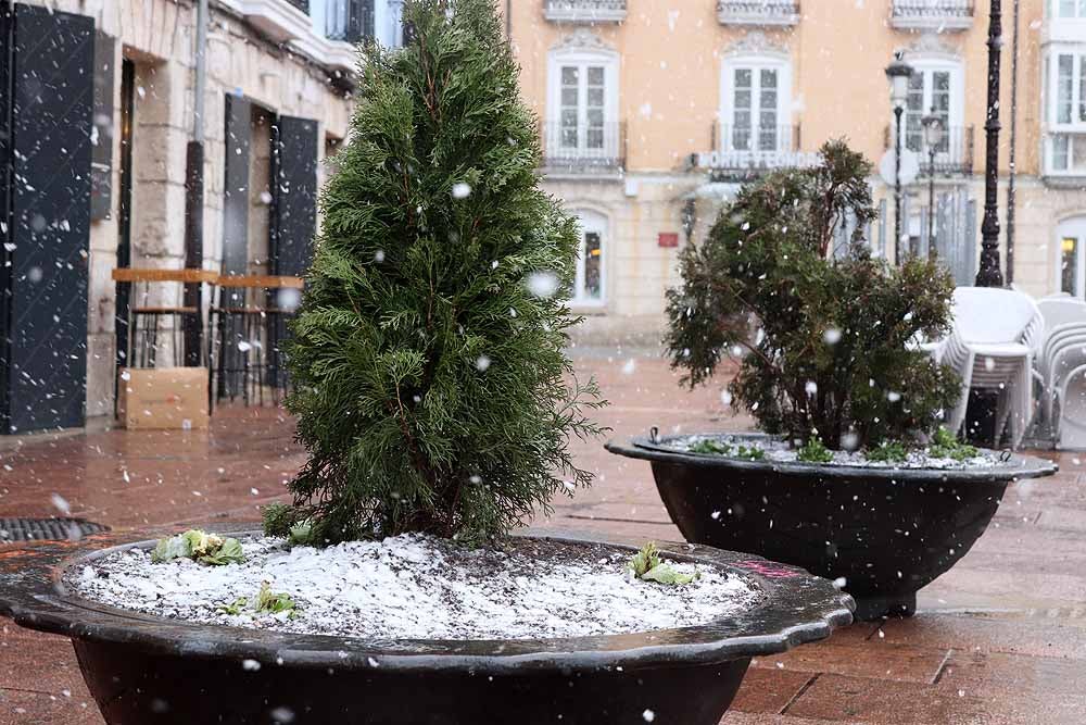 Fotos: La nieve llega a Burgos