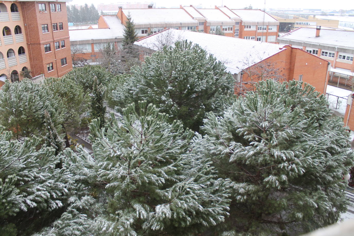 Fotos: La nieve llega a Burgos