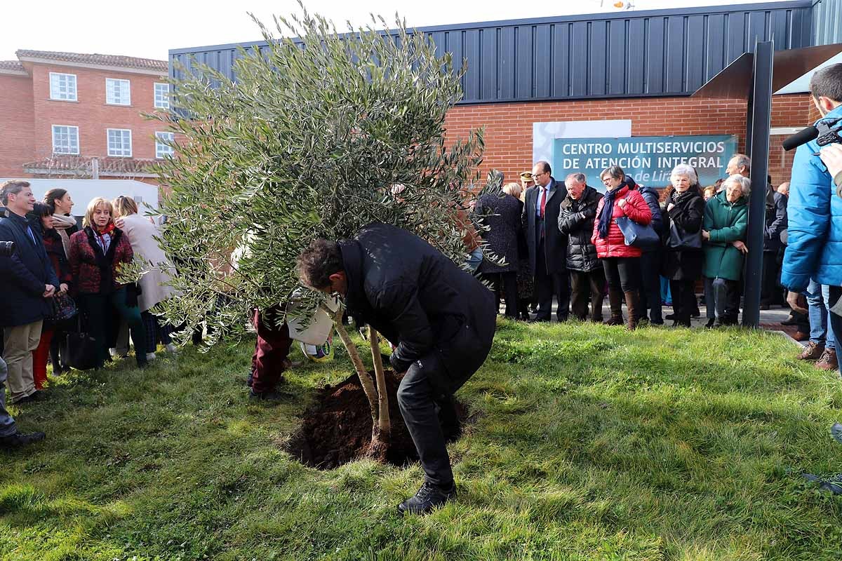 Durante la inauguración oficial se ha plantado un olivo a la puerta del centro. 