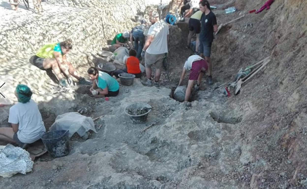 Trabajos en el yacimiento de Torrelara el pasado verano. 