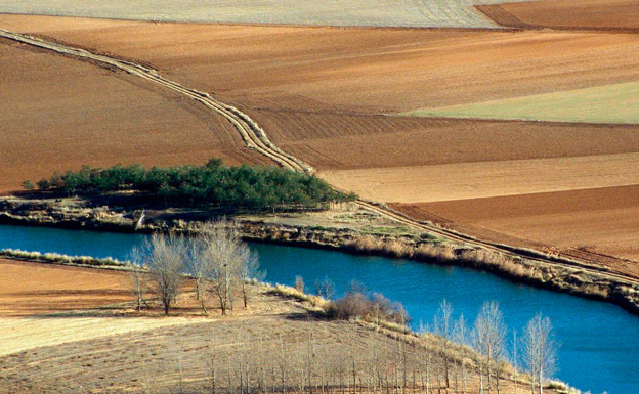 Imagen que ilustra el cartel de la exposición 'Campos de Castilla'. 