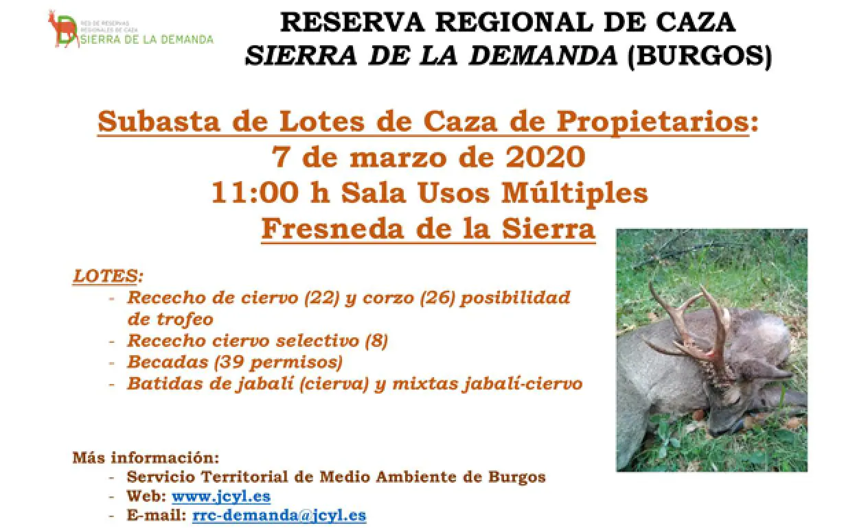 Fresneda de la Sierra acoge la subasta pública de 105 lotes de caza con un valor de salida de 70.550 euros