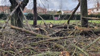 El viento ha desprendido parte del tejado de la iglesia de Santo Domingo de Guzmán y el de una nave en la zona de Hipercor, que ha seccionado un cable eléctrico que ha dejado sin luz a la zona sur y al barrio San Pedro y San Felices.