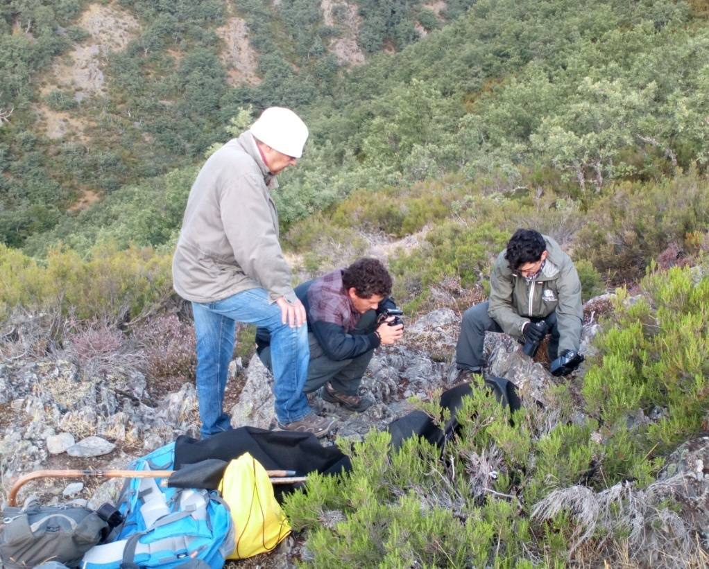 Imagen secundaria 2 - Grabados de centímetros hallados en pizarras y documentación fotográfica de los yacimientos. 