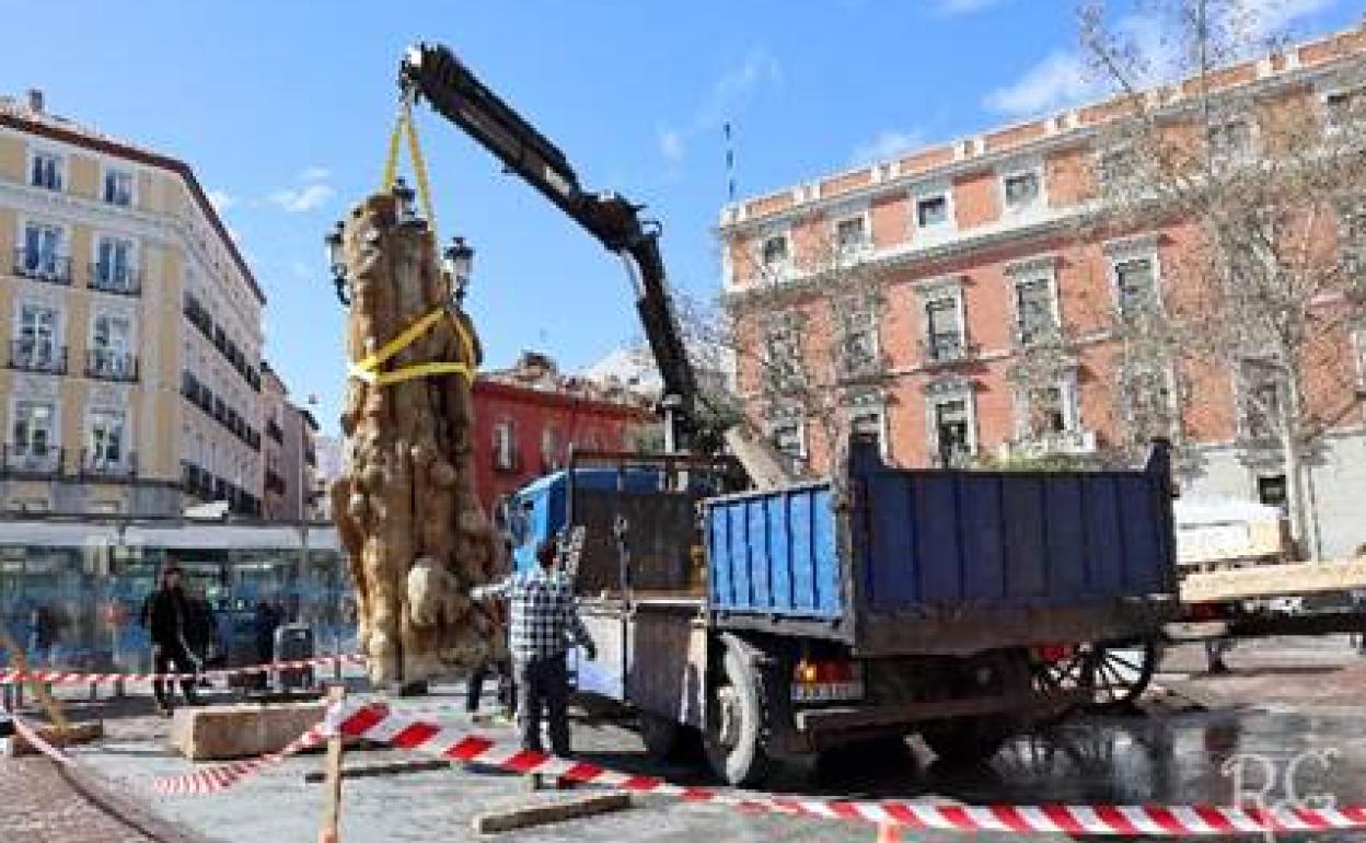 Instalación de la escultura del burgalés Humberto Abad, elaborada con un pino de más de 350 años, en Madrid. 