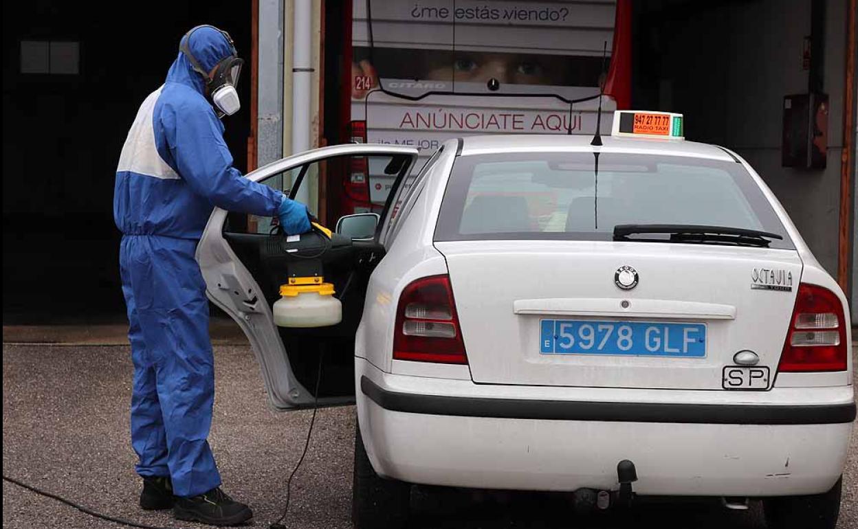 Los técnicos de Control de Plagas realizan la limpieza diaria de los taxis