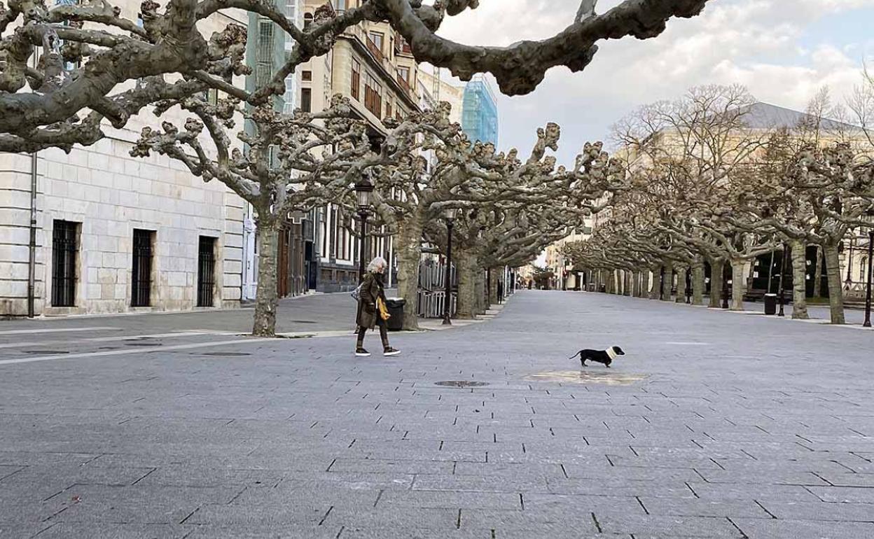 Las nuevas medidas restringen aún más los paseos con mascotas.