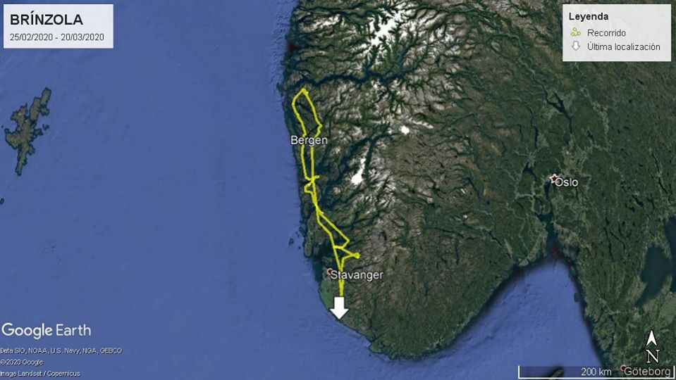 Recorrido de Brínzola desde el pasado 25 de febrero a lo largo de la costa suroeste de Noruega. La flecha blanca indica el punto donde fue rescatada el 20 de marzo.
