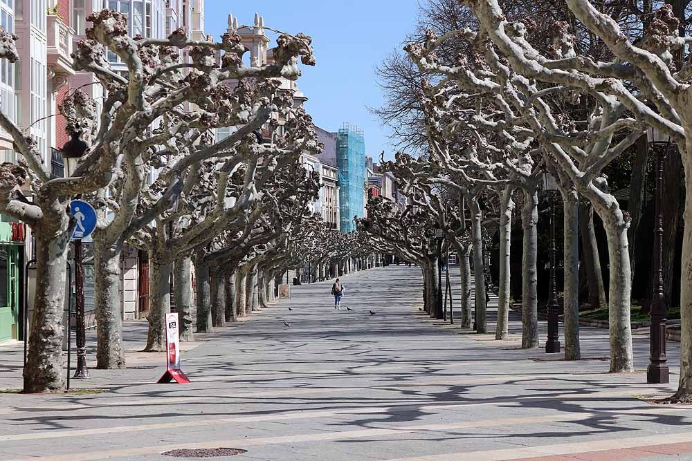 Fotos: Burgos vacía en el décimo día de confinamiento