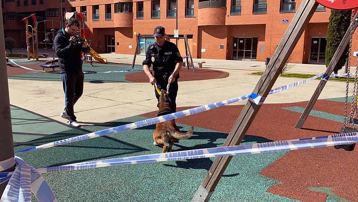 Ante la mirada de niños y mayores los perros han realizado ejercicios de obediencia y de intervención con los agentes.