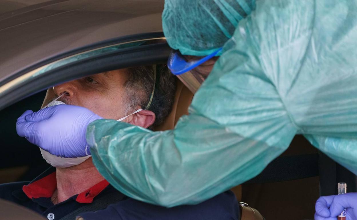 Un sanitario toma muestras a un burgalés para después ser analizada. 