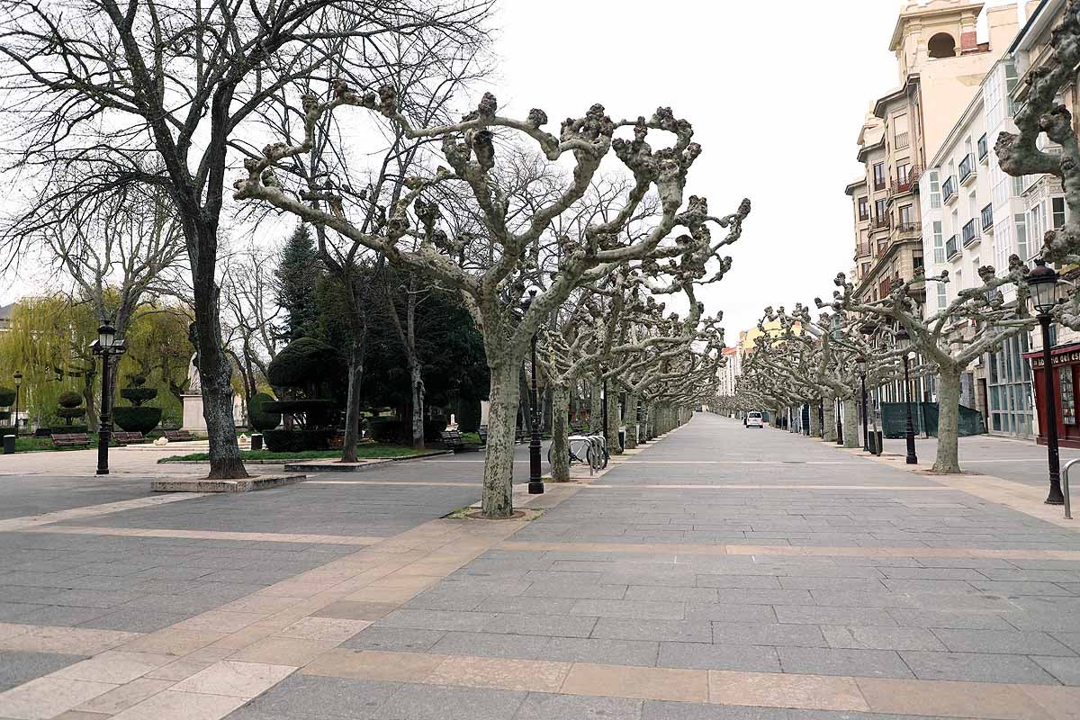 Este lunes, con la suspensión de toda actividad económica no esencial por la crisis sanitaria del coronavirus, el centro de la capital burgalesa presenta una imagen mucho más vacía. Algo a lo que colaboran los termómetros que no suben de 1 grado.