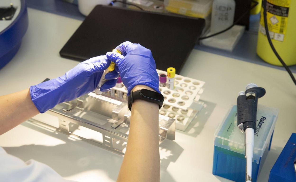 Realización de pruebas PCR en el laboratorio de Microbiología del Río Hortega de Valladolid. 