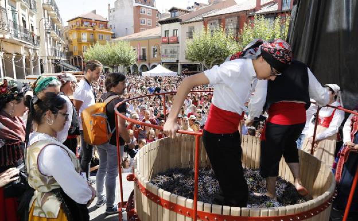 Pisada de la uva en Aranda. 