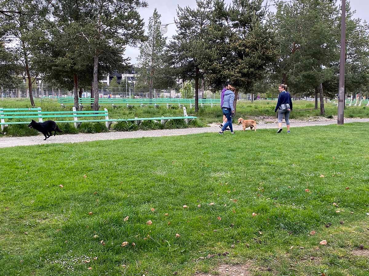 Primer día permitido para salir a pasear y hacer deporte.